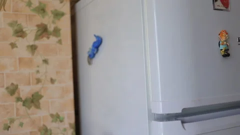 The fridge door opens and the man takes the frozen food from there Stock Footage 130941292