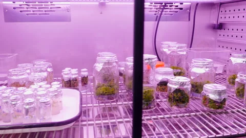 Fridge at the laboratory with empty flas... | Stock Video | Pond5