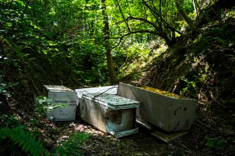 Fridges in a forest in Italy, clear sign of human pollution Stock Photos