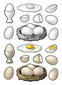Fried and boiled chicken eggs with broken shell and nest. Vintage color vecto Stock Illustration