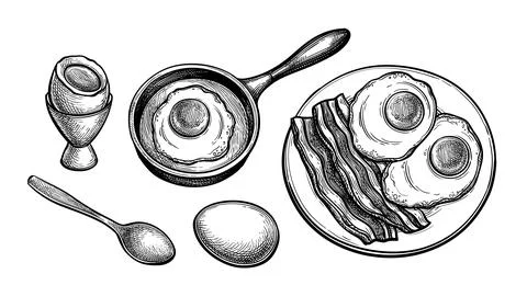 Fried and soft boiled eggs. Stock Illustration