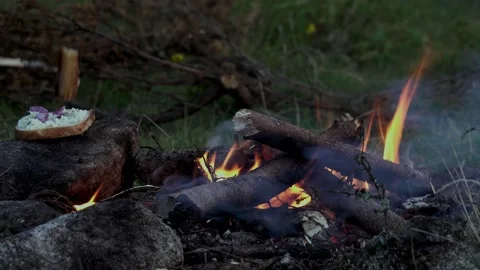 Fried bacon at campfire while camping outdoors Stock Footage 205184405
