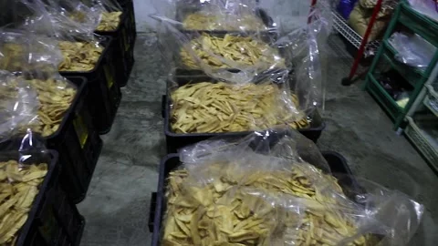 Fried banana chips Stock Footage 305024144