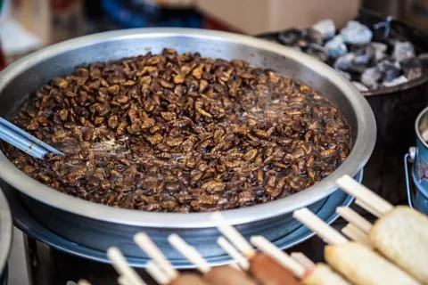 Fried beetles or insects Stock-Fotos