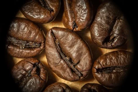 Fried brown coffee grain, macro abstraction background Stock Photos
