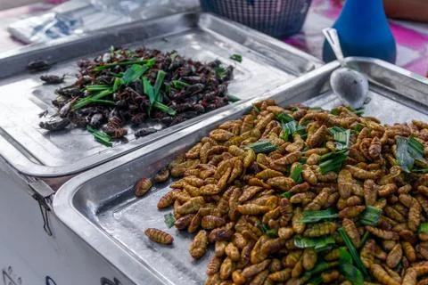 Fried bugs 库存照片