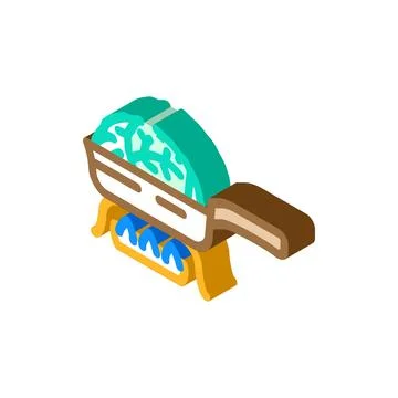 Fried cabbage isometric icon vector illustration Ilustración de archivo