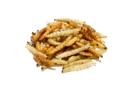 Fried Caterpillars Stock-Fotos