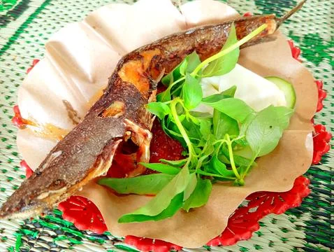 Fried catfish 库存照片