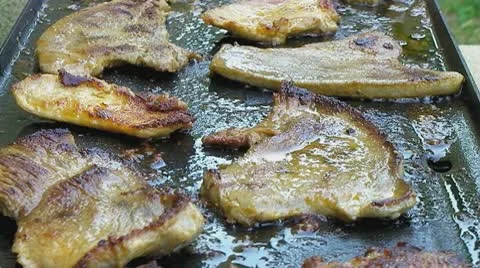 Fried chicken breast Stock Footage 10794357