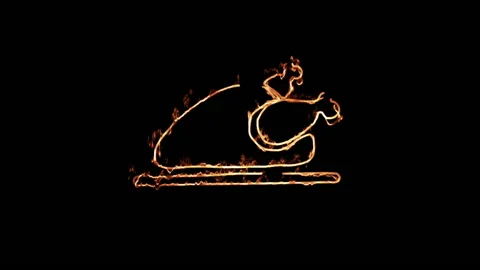 Fried chicken icon emerges from fire on black background. Vidéo 145248024