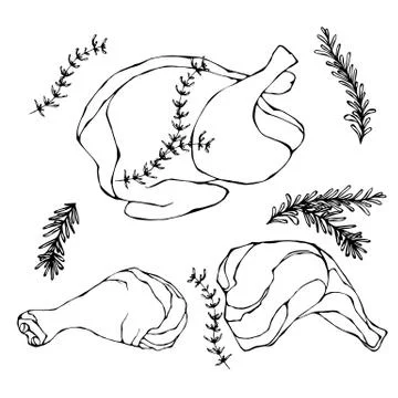 Fried Chicken or Turkey Full Carcass. Cooked Fowl Meat. Vector Illustration Stock Illustration