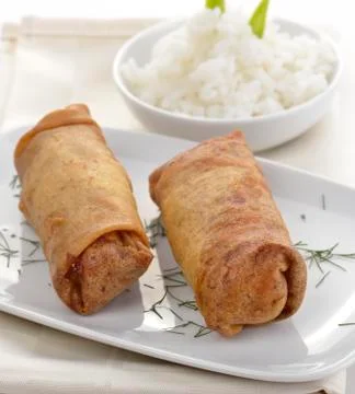 Fried chicken rolls Stock Photos