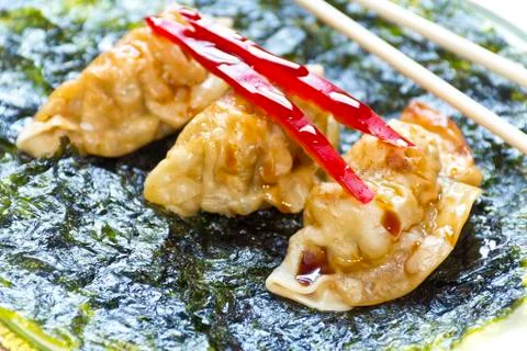 Fried chinese dumplings Stock Photos