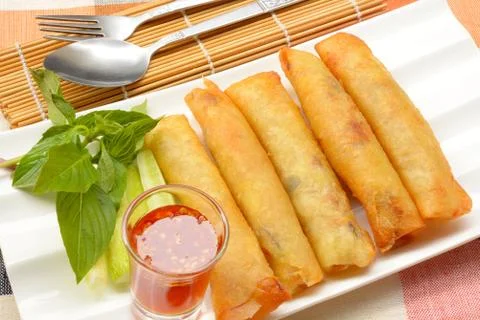 Fried Chinese Spring rolls Stock Photos