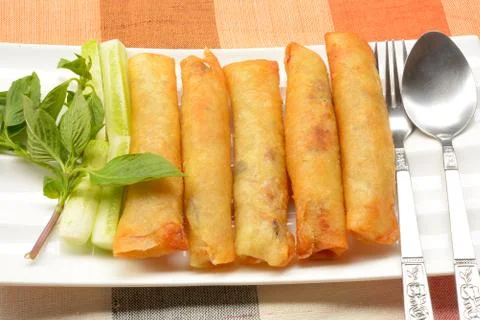 Fried Chinese Spring rolls Stock Photos