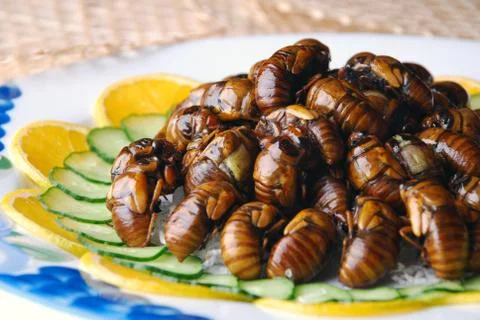 Fried cicada Stock Photos