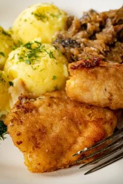 Fried cod fillet . Stock Photos