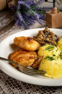 Fried cod fillet . Stock Photos