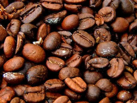 Fried coffee beans close-up Stock Photos