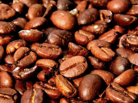 Fried coffee beans close-up Stock Photos