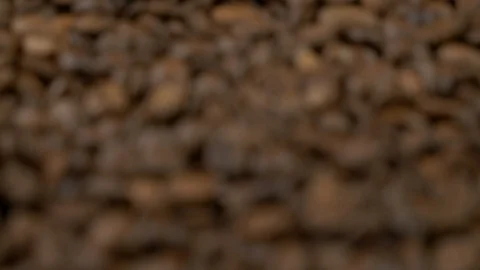 Fried of coffee beans on green screen prores 10bit Stock Footage 101829757