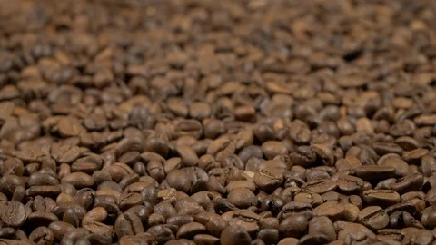 Fried of coffee beans on green screen prores 10bit Stock Footage 101830035