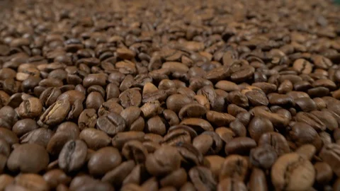 Fried of coffee beans on green screen prores 10bit Stock Footage 101830116
