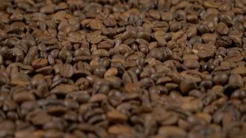 Fried of coffee beans on green screen prores 10bit Stock Footage 101830168