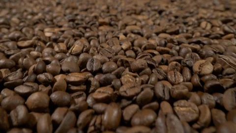 Fried of coffee beans on green screen prores 10bit Stock Footage 101830475