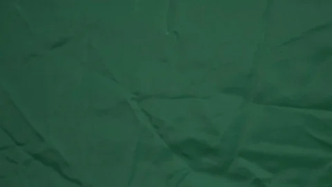 Fried of coffee beans on green screen prores 10bit Stock Footage 101830548