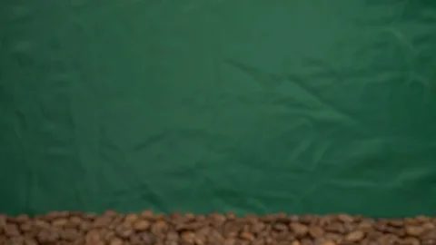 Fried of coffee beans on green screen prores 10bit Stock Footage 101830702