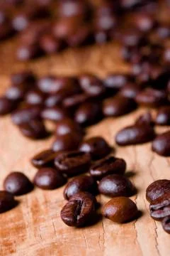 Fried coffee beans Stock Photos
