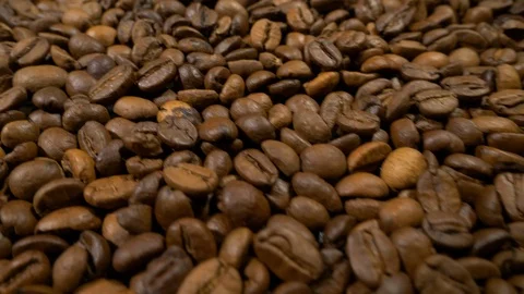 Fried of coffee beans slider shot close-up Stock Footage 101800279