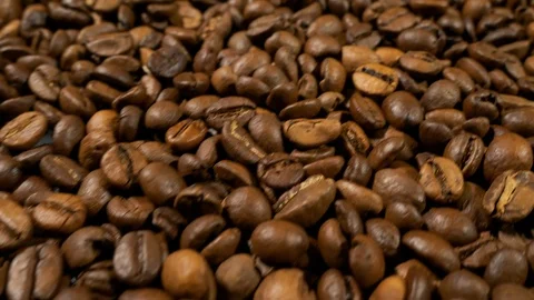 Fried of coffee beans slider shot close-up Stock Footage 101800356