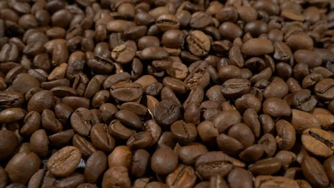 Fried of coffee beans slider shot close-up Stock Footage 101816496