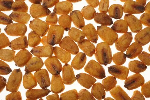 Fried corn snack Stock Photos