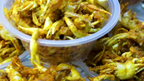 Fried crispy insect for meal Stock Footage 316066198