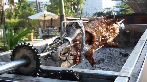 Fried crocodile on the grill Video stock 89993049