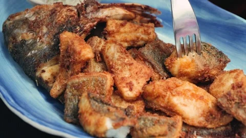 Fried dorado fish in batter with tartar sauce and lemon slices. Stock Footage 323217016