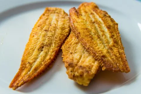 Fried dover sole fish on plate closeup Stock Photos