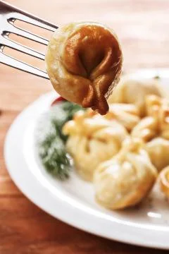 Fried dumplings Stock Photos