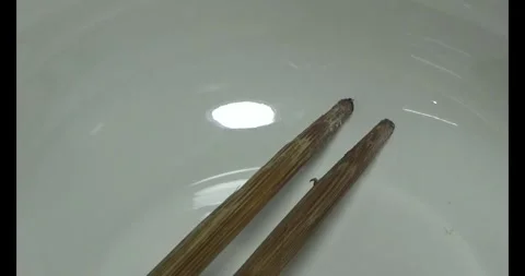 Fried earthworm with eggs Stock Footage 294498632