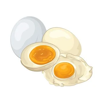 Fried Egg and Boiled Egg 스톡 일러스트