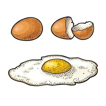 Fried egg and broken shell. Vintage color engraving illustration Stock-Illustration