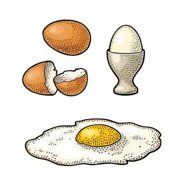 Fried egg and broken shell. Vintage color engraving illustration Stock-Illustration