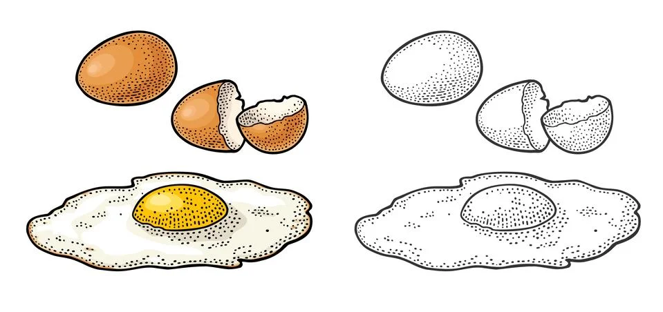 Fried egg and broken shell. Vintage color engraving illustration Stock-Illustration