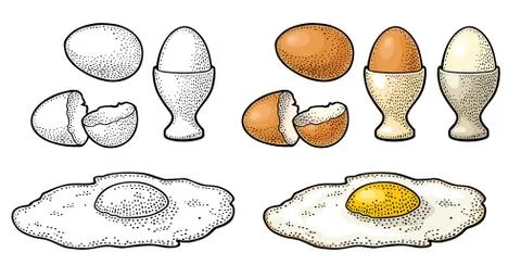 Fried egg and broken shell. Vintage color engraving illustration Illustration