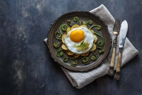 Fried egg and stir fried fern sprouts, copy space Stock Photos