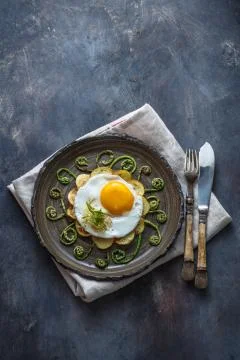 Fried egg and stir fried fern sprouts, copy space Stock Photos